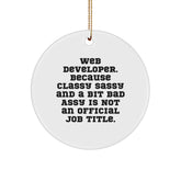 Funny Web Developer Gifts from Friends, Unique Circle Ornament for Men, Women, Coworkers, Christmas Unique Gifts - Image 1